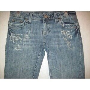 American Eagle Womens Jeans Size 2 Reg Stretch Skinny Flare Embroidery Beads